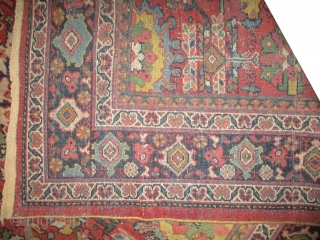 Mahal Persian knotted circa in 1918 antique, 320 x 224 (cm) 10' 6" x 7' 4"  carpet ID: P-5064
The black knots are oxidized, the knots are hand spun wool, all over  ...