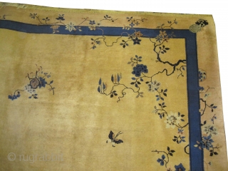 Beijing Chinese Art Deco, circa 1930. Size: 350 x 284 (cm) 11' 6" x 9' 4"  carpet ID: P-6133
High pile, good condition, soft and high standard quality, private collection.   