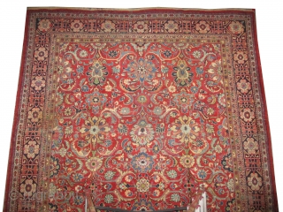 
Mahal Persian knotted circa in 1922 antique, 337 x 237 (cm) 11' 1" x 7' 9"  carpet ID: P-1730
The black knots are oxidized, the knots are hand spun lamb wool, the  ...