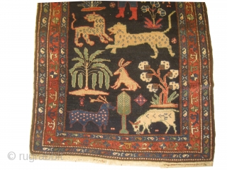 Enjilaz Persian, knotted circa in 1916, antique, 119 x 192 cm, carpet ID: DD-21
Indigo background designed with animals and trees, high pile in perfect condition and in its original shape, unique example,  ...