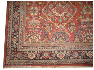 

	

Mahal Persian, knotted circa in 1908 antique, collector's item, 324 x 230 (cm) 10' 7" x 7' 6"  carpet ID: P-2360
The black knots are oxidized, the knots are hand spun wool,  ...