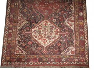 Qashqai Persian, knotted circa in 1905 antique, collector's item, 310 x 206 (cm) 10' 2" x 6' 9"  carpet ID: P-4608
The black knots are oxidized. The knots, the warp and the  ...