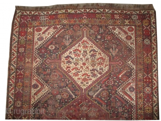 Qashqai Persian, knotted circa in 1905 antique, collector's item, 310 x 206 (cm) 10' 2" x 6' 9"  carpet ID: P-4608
The black knots are oxidized. The knots, the warp and the  ...