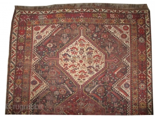 Qashqai Persian, knotted circa in 1905 antique, collector's item, 310 x 206 (cm) 10' 2" x 6' 9"  carpet ID: P-4608
The black knots are oxidized. The knots, the warp and the  ...