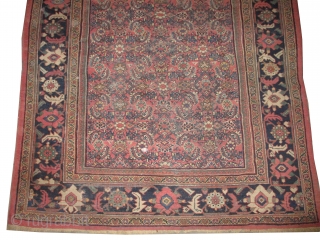 Mahal Persian, knotted circa in 1912 antique, 307 x 223 (cm) 10' 1" x 7' 4"  carpet ID: P-4907
The black knots are oxidized, the knots are hand spun wool, allover Herati  ...