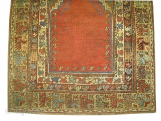 Kirshehir prayer Anatolian, antique, collectors item, 133 x 98 cm, ID: K-1314
The brown knots are oxidized, the warp and the weft threads are 100% wool, the knots are hand spun wool, from  ...