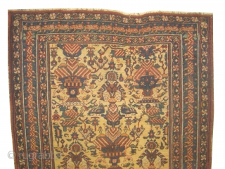 Afshar persian, knotted circa in 1915 antique, 138 x 175 cm, carpet ID: DD-35
The background color is saffron/yellow, allover vase design surrounded with birds, in good condition, rare example.    