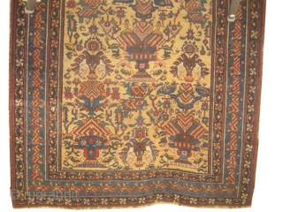 Afshar persian, knotted circa in 1915 antique, 138 x 175 cm, carpet ID: DD-35
The background color is saffron/yellow, allover vase design surrounded with birds, in good condition, rare example.    