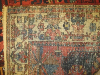 Baktiar Armenibaf Persian, knotted circa in 1910, antique, 162 x 305 cm, carpet ID: DD-37
In good condition, rare design.              