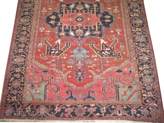 
Heriz Persian, knotted circa in 1915 antique,  327 x 228 (cm) 10' 9" x 7' 6"  carpet ID: P-6126
The black knots are oxidized, the knots are hand spun wool, the  ...