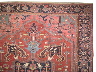 
Heriz Persian, knotted circa in 1915 antique,  327 x 228 (cm) 10' 9" x 7' 6"  carpet ID: P-6126
The black knots are oxidized, the knots are hand spun wool, the  ...