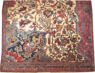 

Bidjar Halvai Persian Wagire knotted circa in 1905 antique, collectors item, Size: 260 x 172 (cm) 8' 6" x 5' 8"  carpet ID: P-442.
Thick pile, rare example, ivory background.   