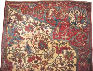 

Bidjar Halvai Persian Wagire knotted circa in 1905 antique, collectors item, Size: 260 x 172 (cm) 8' 6" x 5' 8"  carpet ID: P-442.
Thick pile, rare example, ivory background.   