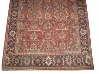 

	

Ziegler-Mahal Persian, knotted circa in 1918 antique, collector's item, 316 x 211 (cm) 10' 4" x 6' 11"  carpet ID: P-5998
The black knots are oxidized, the knots are hand spun wool,  ...