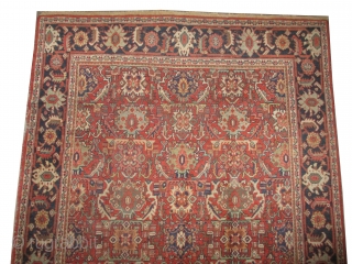 

	

Ziegler-Mahal Persian, knotted circa in 1918 antique, collector's item, 316 x 211 (cm) 10' 4" x 6' 11"  carpet ID: P-5998
The black knots are oxidized, the knots are hand spun wool,  ...