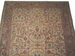 
Bakshaish Heriz Persian knotted circa in 1900 antique, collector's item, 325 x 242 (cm) 10' 8" x 7' 11"  carpet ID: P-5166
The black knots are oxidized, the knots are hand spun  ...