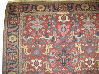  Heriz Persian knotted circa in 1930, 288 x 200 (cm) 9' 5" x 6' 7" 
 carpet ID: P-5788
The black knots are oxidized, the knots are hand spun wool, allover design,  ...