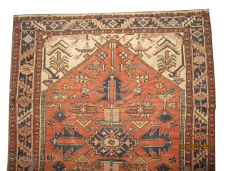 
Serapi Heriz Persian, knotted circa 1885 antique, 184 x 143 cm, ID: K-5540
The knots are hand spun wool, both selvages are woven on two lines with wool, the background color is warm  ...