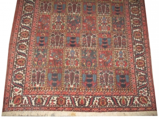 


 	

Baktiar Persian knotted circa in 1928 antique,  306 x 218 (cm) 10'  x 7' 2"  carpet ID: P-4993
The knots are hand spun wool, the black knots are oxidized,  ...