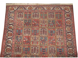 


 	

Baktiar Persian knotted circa in 1928 antique,  306 x 218 (cm) 10'  x 7' 2"  carpet ID: P-4993
The knots are hand spun wool, the black knots are oxidized,  ...