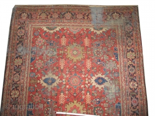 Ziegler-Mahal Persian knotted circa in 1895 antique. 308 x 228 (cm) 10' 1" x 7' 6" 
 carpet ID: P-4135
The black knots are oxidized, the knots are hand spun lamb wool, all  ...