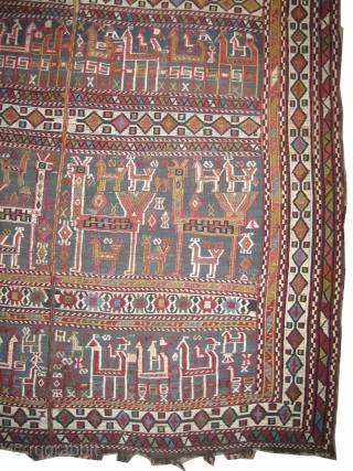 
Vernneh horse cover Caucasian, woven circa 1910 antique, collectors item, 170 x 131 cm, ID: A-209
Woven with hand spun wool, the white design is cotton, with peacocks, in perfect condition and in  ...