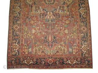 


	

Serapi-Heriz Persian, knotted circa in 1895 antique, collector's item,  345 x 200 (cm) 11' 4" x 6' 7"  carpet ID: P-2976
The black knots are oxidized, the knots are hand spun  ...