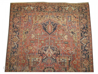 


	

Serapi-Heriz Persian, knotted circa in 1895 antique, collector's item,  345 x 200 (cm) 11' 4" x 6' 7"  carpet ID: P-2976
The black knots are oxidized, the knots are hand spun  ...