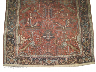 Heriz Persian knotted circa in 1925, 264 x 192 (cm) 8' 8" x 6' 4"  carpet ID: P-5235
The black knots are oxidized, the knots are hand spun wool, the selvages are  ...