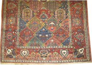 
Baktiar Persian knotted circa in 1925 semi antique, 300 x 212 (cm) 9' 10" x 6' 11" 
 carpet ID: P-6243
The black knots are oxidized, the knots are hand spun wool, all  ...