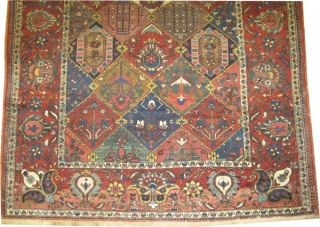 
Baktiar Persian knotted circa in 1925 semi antique, 300 x 212 (cm) 9' 10" x 6' 11" 
 carpet ID: P-6243
The black knots are oxidized, the knots are hand spun wool, all  ...