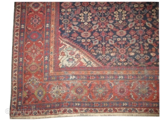 Mahal Persian knotted circa in 1929, 370 x 268 (cm) 12' 2" x 8' 9"  carpet ID: P-3974
The knots are hand spun wool, the black knots are oxidized, the background color  ...