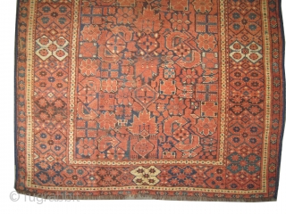 Beshir Turkmen, antique. Size: 234 x 126 (cm) 7' 8" x 4' 2" feet, CarpetID: K-1216 
Vegetable dyes, the warp and the weft threads are 100% wool, the pile is uniformly short,  ...