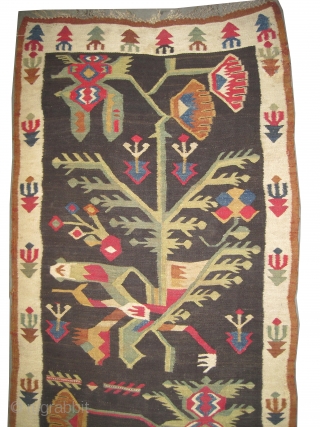 
Bessarabian kilim woven circa in 1910 from Art-Deco period, antique, Size: 320 x 83 (cm) 10' 6" x 2' 9"  carept ID: A-471
Woven with hand spun 100% wool, the background is  ...