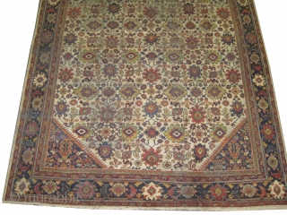 Mahal Persian, knotted circa in 1912 antique, 336 x 247 (cm) 11'  x 8' 1"  carpet ID: P-5034
The knots are hand spun wool, the black knots are oxidized, the edges  ...