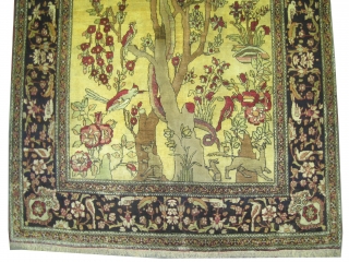 
Kirmanshah Persian knotted circa in 1918 antique, collector's item, 214 x 139 (cm) 7'  x 4' 7"  carpet ID: K-636
The knots are hand spun lamb wool, the background is soft  ...