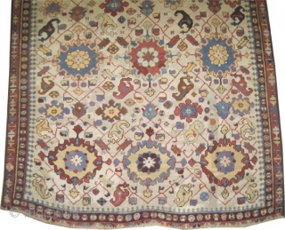 Shusha Caucasian, antique, collectors item.Size: 386 x 193 (cm) 12' 8" x 6' 4" carpet ID: V-156 
 Vegetable dyes, knotted with Ghiordez knots, the warp and the weft threads are 100%  ...