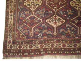 Shiraz Persian, knotted circa in 1930, 216 x 311 cm,  carpet ID: LUB-2
The knots, the warp and the weft threads are hand spun wool. Indigo background, geometric design with animals, in  ...