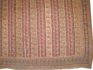 Senneh horse cover Persian, antique. Collector's item, Size: 184 x 154 (cm) 6'  x 5' 1"  carpet ID: A-320  
vegetable dyes, the warp and the weft threads are hand  ...