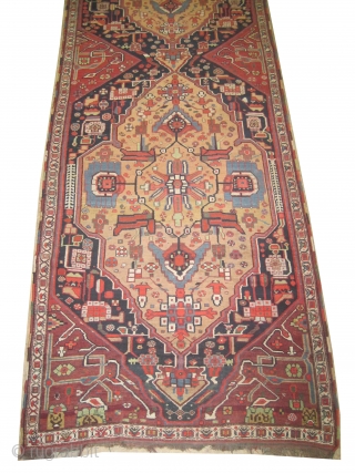 	

Afshar Persian runner, knotted circa in 1880 antique, collector's item. Size: 465 x 115 (cm) 15' 3" x 3' 9"  carpet ID: E-530
High pile, in perfect condition, very rare example, fine  ...