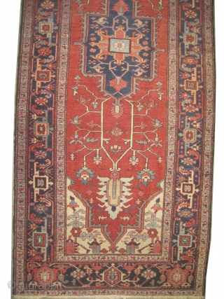 
Serapi Heriz Persian circa 1895 antique. Spectacular rare example, Size: 336 x 138 (cm) 11'  x 4' 6"  carpet ID: P-5780
vegetable dyes, the black color is oxidized, the knots are  ...