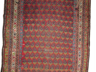 Farahan Persian, knotted circa in 1880, antique, collectors item, 148 x 280 cm, carpet ID: BRDI-19
The knots, the warp and the weft threads are mixed with wool and goat hair, one edge  ...
