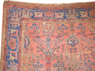 Mahal Persian knotted circa in 1905 antique, collector's item, 360 x 275 (cm) 11' 10" x 9'  carpet ID: P-5065
The black knots are oxidized, the knots are hand spun wool, all  ...