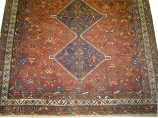 	

Shiraz Persian knotted circa in 1920 antique, collector's item, 420  x  270 (cm) 13' 9" x 8' 10"  carpet ID: P-6259
The black knots are oxidized. The knots, the warp  ...