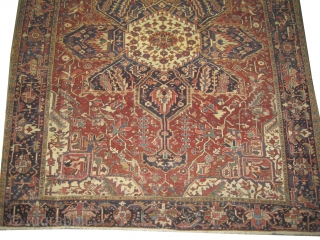 

Serapi-Herriz Persian knotted circa 1918 antique, 314 x 256 cm,  ID: P-5400
The black knots are oxidized, the knots are hand spun wool, the background color is brick, the center medallion is  ...