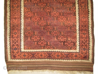 Belutch Persian, circa 1915, antique, size: 106 x 175cm, carpet ID: BRDU-1
Vegetable dyes, the warp and the weft threads are 100% wool, good condition, the black color is oxidized, the knots are  ...