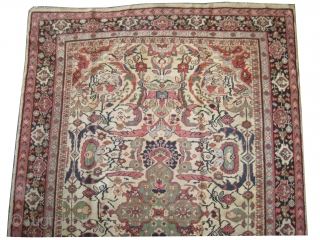 Mahal Persian knotted circa in 1925, 320 x 212 (cm) 10' 6" x 6' 11"  carpet ID: P-5151
The black knots are oxidized, the knots are hand spun wool, the background color  ...