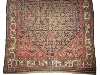 

Malaier Persian knotted circa in 1895 antique, collector's item, 294 x 161 (cm) 9' 8" x 5' 3"  carpet ID: K-5241
The black knots are oxidized, the knots are hand spun wool,  ...