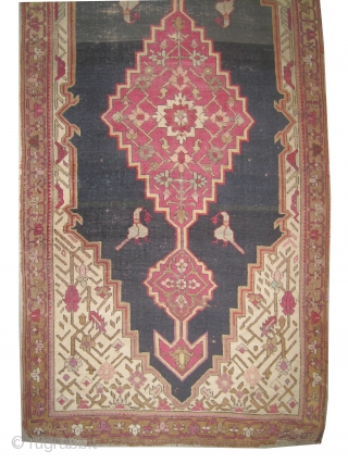 	

Shusha Caucasian. Antique, collectors item, 
Size: 220 x 102 (cm) 7' 3" x 3' 4"  carpet ID: BC-1 
Vegetable dyes, the black color is oxidized, the knots are hand spun wool.  ...