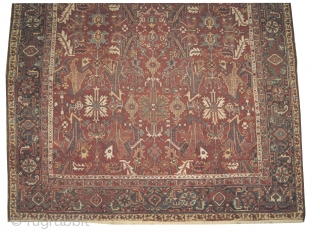 



Bakshaish Heriz Persian knotted circa in 1925 antique, 303 x 234 (cm) 9' 11" x 7' 8"  carpet ID: P-4140
The black knots are oxidized, the knots are hand spun wool, the  ...